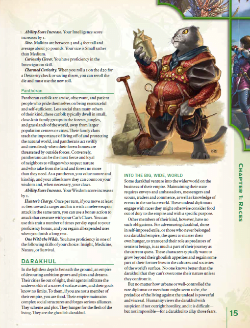 Tome of Heroes for 5th Edition (PDF) - Image 3